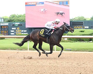 Heavily favored Skelly stretches his Oaklawn winning streak to eight with a front-running 2 1/4-length victory over Mish in Saturday's $200,000 Lake Hamilton Stakes for older horses at 6 furlongs. (Courtesy of Coady Media)